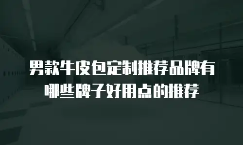 男款牛皮包定制推荐品牌有哪些牌子好用点的推荐