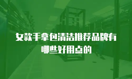 女款手拿包清洁推荐品牌有哪些好用点的