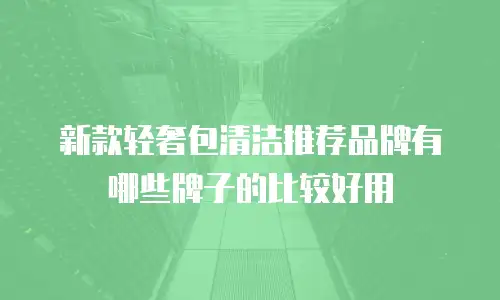 新款轻奢包清洁推荐品牌有哪些牌子的比较好用