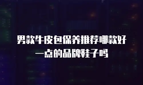 男款牛皮包保养推荐哪款好一点的品牌鞋子吗