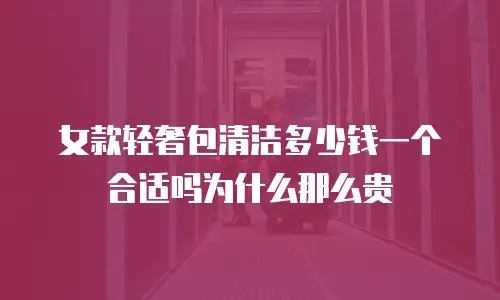 女款轻奢包清洁多少钱一个合适吗为什么那么贵