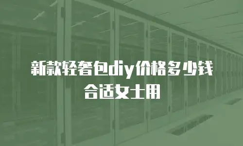 新款轻奢包diy价格多少钱合适女士用