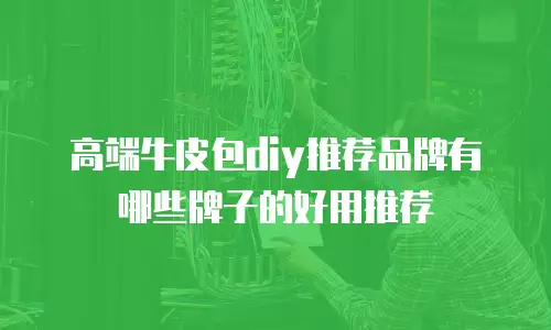 高端牛皮包diy推荐品牌有哪些牌子的好用推荐