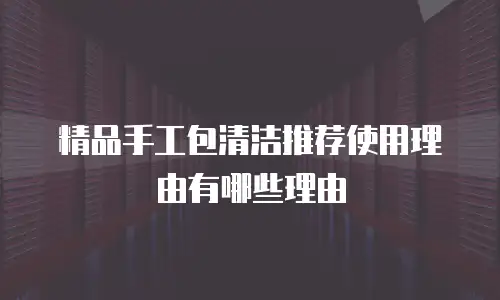 精品手工包清洁推荐使用理由有哪些理由