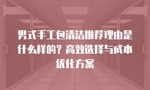 男式手工包清洁推荐理由是什么样的？高效选择与成本优化方案