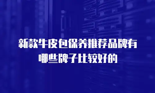 新款牛皮包保养推荐品牌有哪些牌子比较好的
