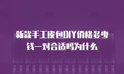 新款手工皮包DIY价格多少钱一对合适吗为什么