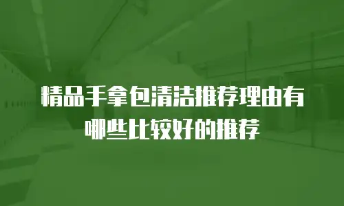 精品手拿包清洁推荐理由有哪些比较好的推荐