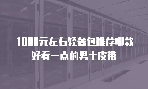 1000元左右轻奢包推荐哪款好看一点的男士皮带