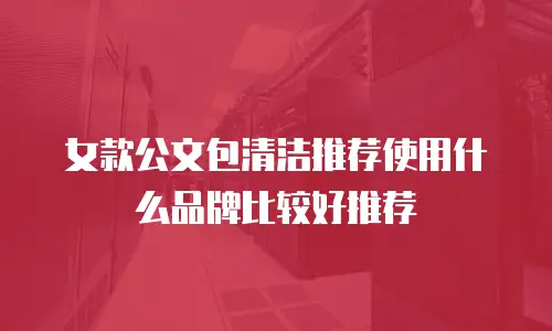 女款公文包清洁推荐使用什么品牌比较好推荐