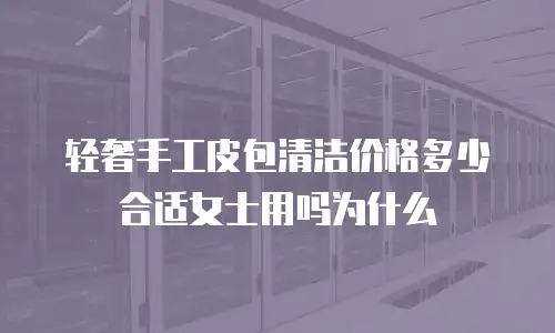 轻奢手工皮包清洁价格多少合适女士用吗为什么
