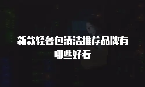 新款轻奢包清洁推荐品牌有哪些好看