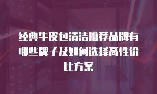 经典牛皮包清洁推荐品牌有哪些牌子及如何选择高性价比方案