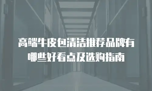 高端牛皮包清洁推荐品牌有哪些好看点及选购指南
