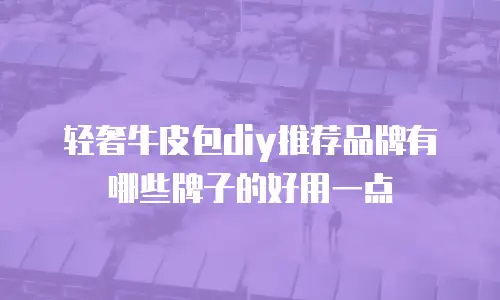 轻奢牛皮包diy推荐品牌有哪些牌子的好用一点
