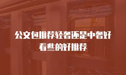 公文包推荐轻奢还是中奢好看些的好推荐
