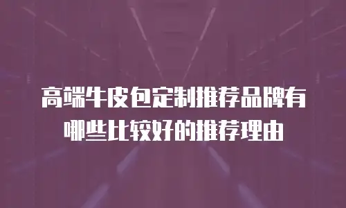 高端牛皮包定制推荐品牌有哪些比较好的推荐理由