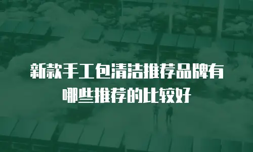 新款手工包清洁推荐品牌有哪些推荐的比较好