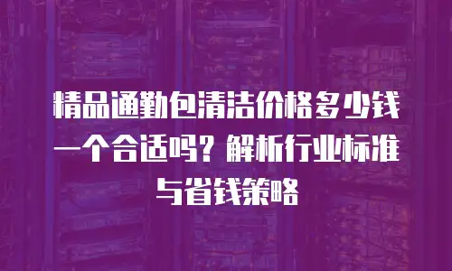 精品通勤包清洁价格多少钱一个合适吗？解析行业标准与省钱策略