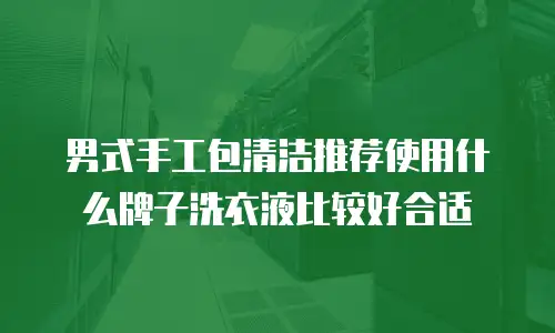 男式手工包清洁推荐使用什么牌子洗衣液比较好合适