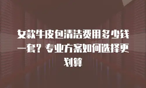 女款牛皮包清洁费用多少钱一套？专业方案如何选择更划算