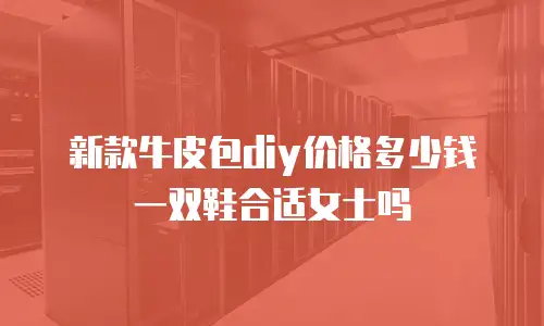 新款牛皮包diy价格多少钱一双鞋合适女士吗