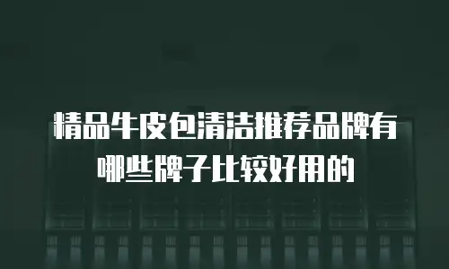 精品牛皮包清洁推荐品牌有哪些牌子比较好用的