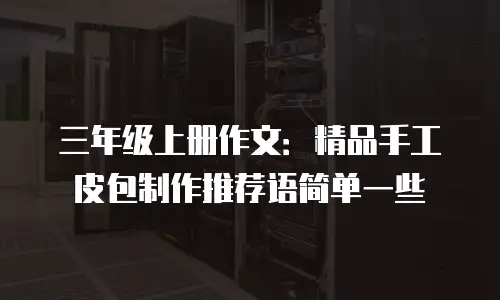 三年级上册作文：精品手工皮包制作推荐语简单一些