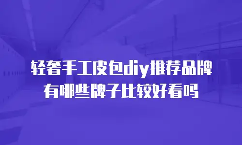 轻奢手工皮包diy推荐品牌有哪些牌子比较好看吗