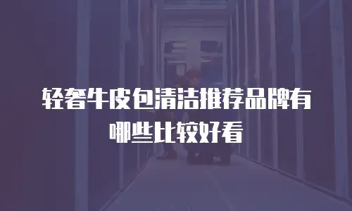 轻奢牛皮包清洁推荐品牌有哪些比较好看