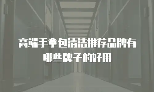 高端手拿包清洁推荐品牌有哪些牌子的好用