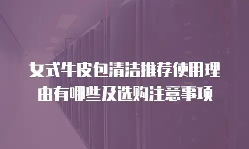 女式牛皮包清洁推荐使用理由有哪些及选购注意事项