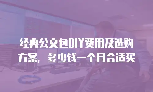 经典公文包DIY费用及选购方案，多少钱一个月合适买