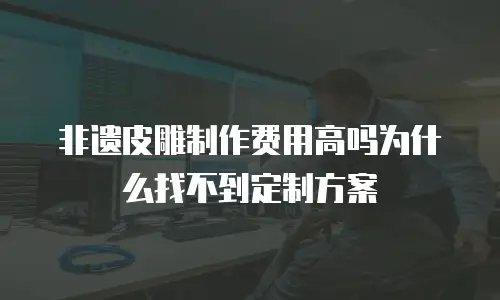 非遗皮雕制作费用高吗为什么找不到定制方案