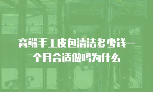 高端手工皮包清洁多少钱一个月合适做吗为什么