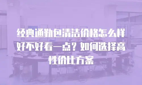 经典通勤包清洁价格怎么样好不好看一点？如何选择高性价比方案