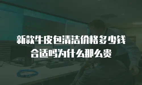 新款牛皮包清洁价格多少钱合适吗为什么那么贵