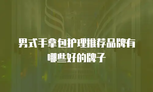 男式手拿包护理推荐品牌有哪些好的牌子