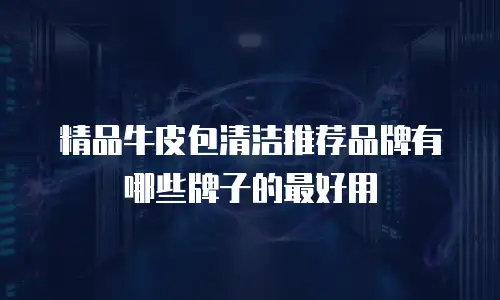 精品牛皮包清洁推荐品牌有哪些牌子的最好用