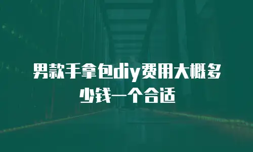 男款手拿包diy费用大概多少钱一个合适