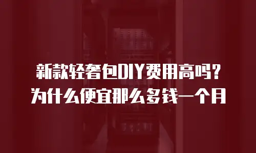 新款轻奢包DIY费用高吗？为什么便宜那么多钱一个月