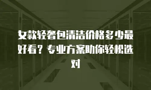 女款轻奢包清洁价格多少最好看？专业方案助你轻松选对