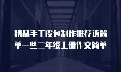 精品手工皮包制作推荐语简单一些三年级上册作文简单