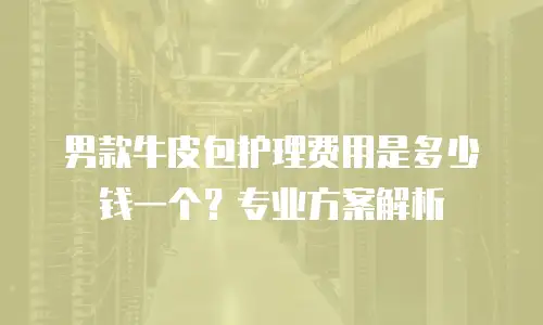 男款牛皮包护理费用是多少钱一个？专业方案解析