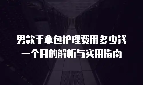 男款手拿包护理费用多少钱一个月的解析与实用指南