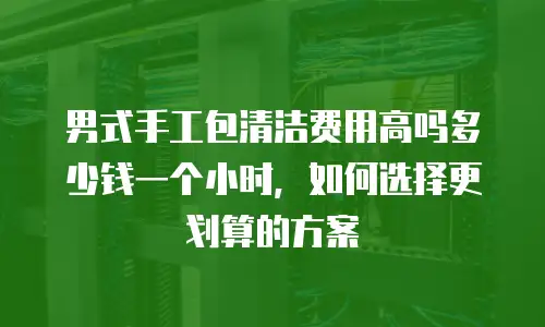 男式手工包清洁费用高吗多少钱一个小时，如何选择更划算的方案