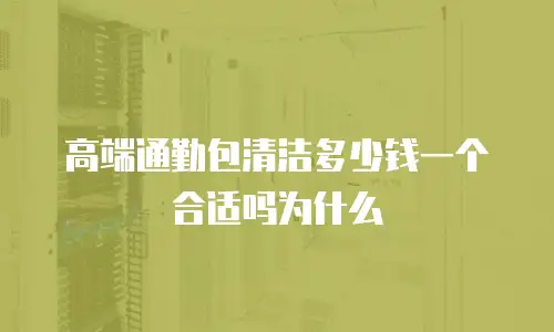 高端通勤包清洁多少钱一个合适吗为什么