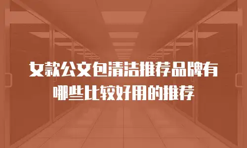 女款公文包清洁推荐品牌有哪些比较好用的推荐