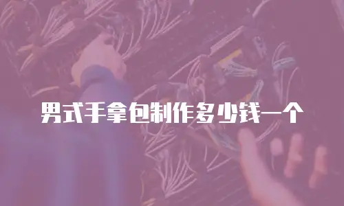男式手拿包制作多少钱一个