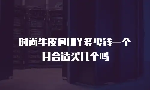 时尚牛皮包DIY多少钱一个月合适买几个吗